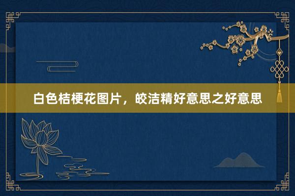 白色桔梗花图片，皎洁精好意思之好意思